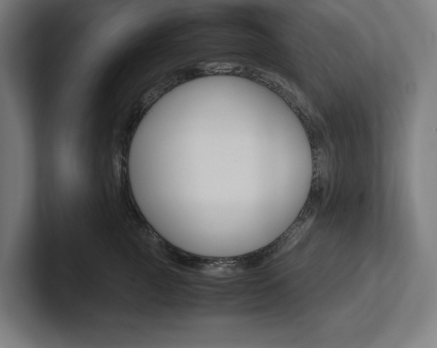 X0000102860761200808181025