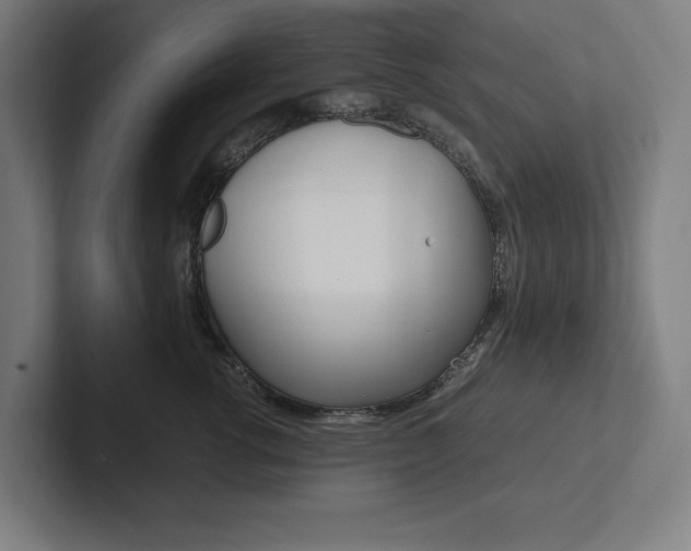 X0000102860762200808181025