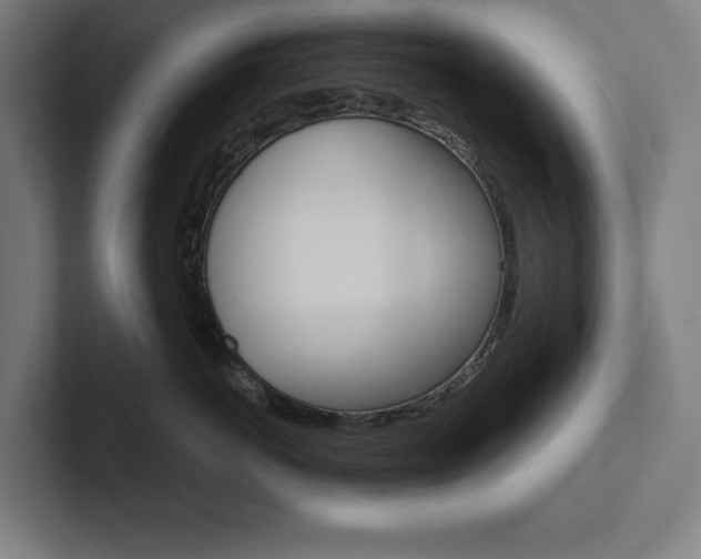 X0000102860766200808181025