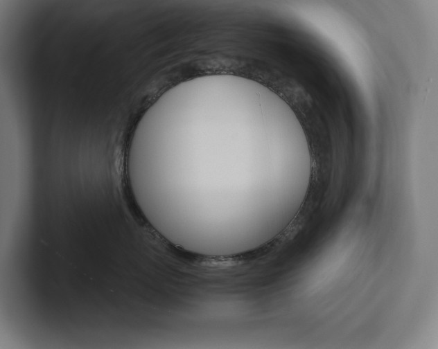 X0000102860767200808181025