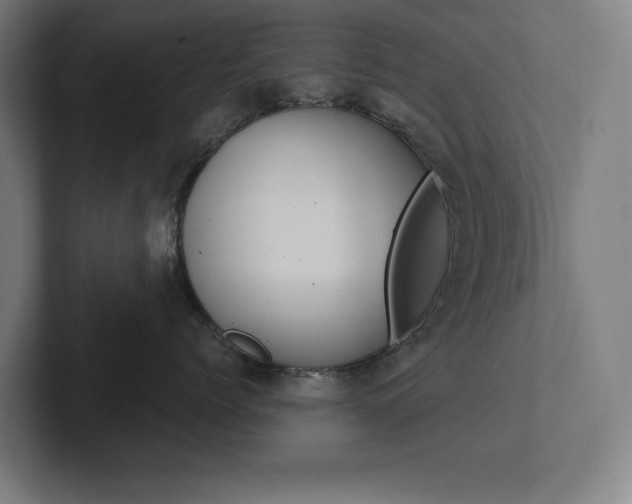 X0000102860768200808181025