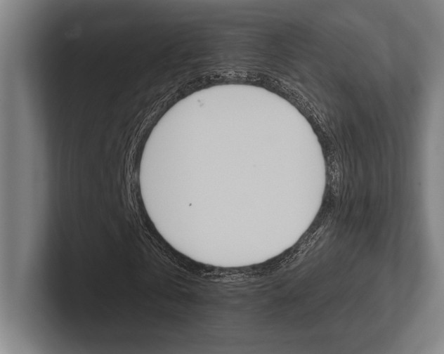 X0000102860769200808181025