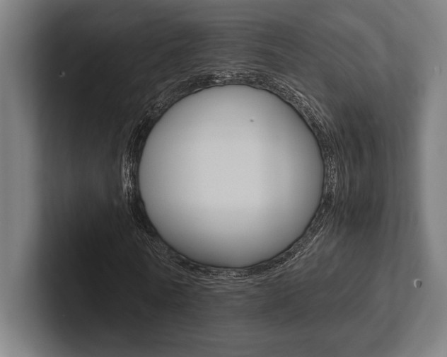 X0000102860770200808181025
