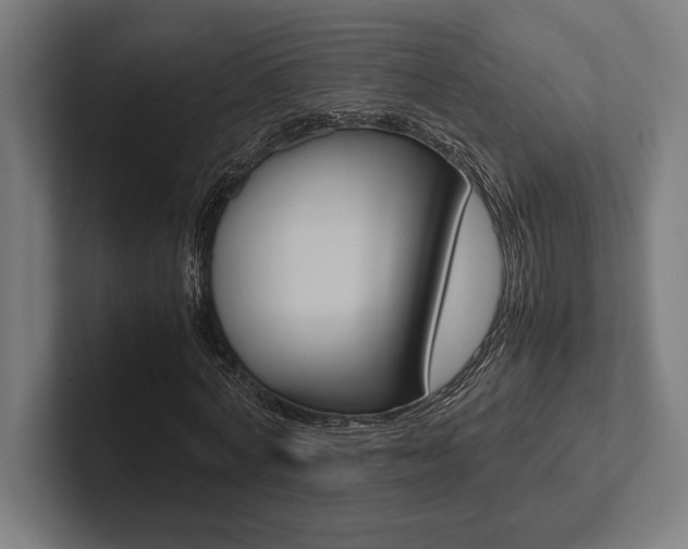 X0000102860772200808181025