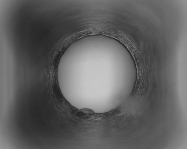 X0000102860773200808181025