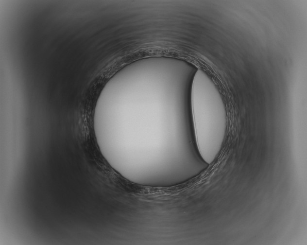 X0000102860774200808181025