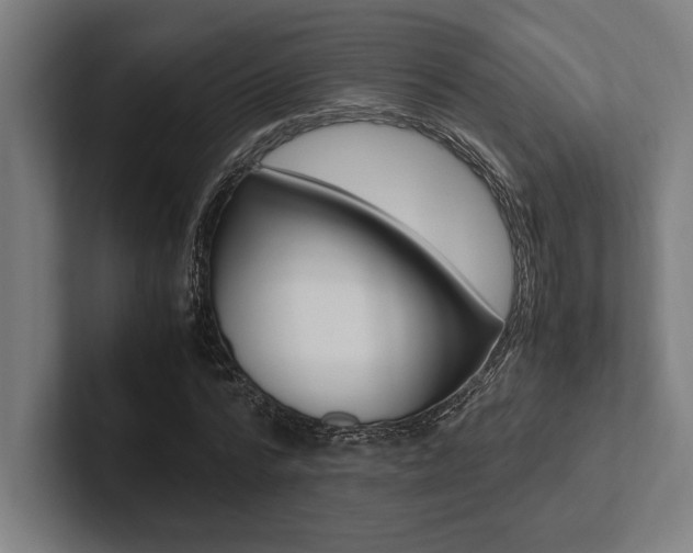 X0000102860776200808181024