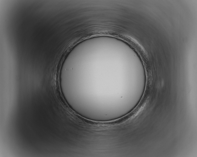 X0000102860777200808181024
