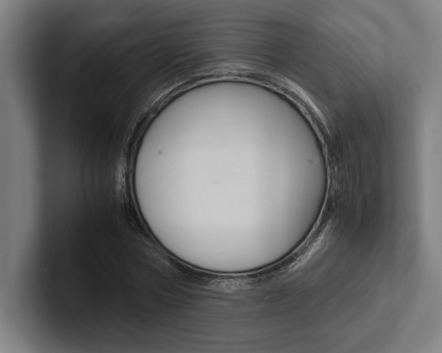 X0000102860778200808181024