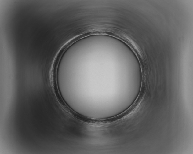 X0000102860779200808181024