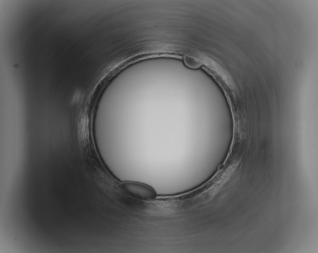 X0000102860781200808181024