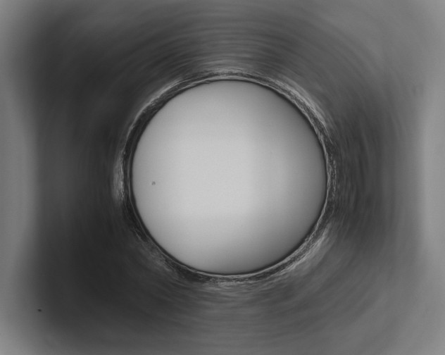X0000102860782200808181024