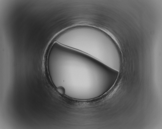X0000102860783200808181024