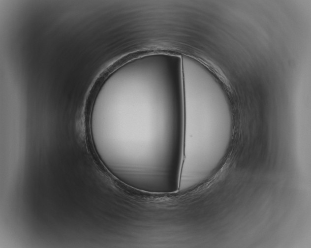 X0000102860784200808181024