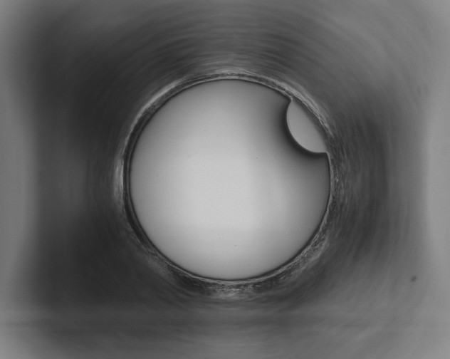 X0000102860790200808181024