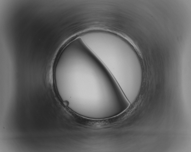 X0000102860791200808181024