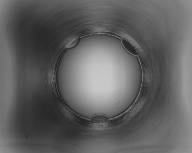 X0000102860793200808181024