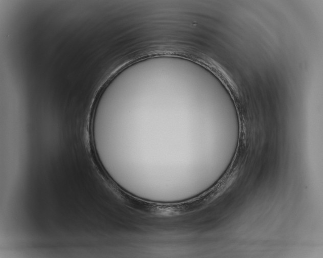 X0000102860794200808181024