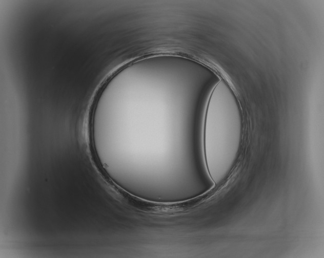 X0000102860795200808181024