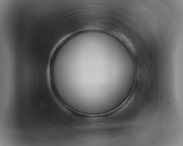 X0000102860796200808181024