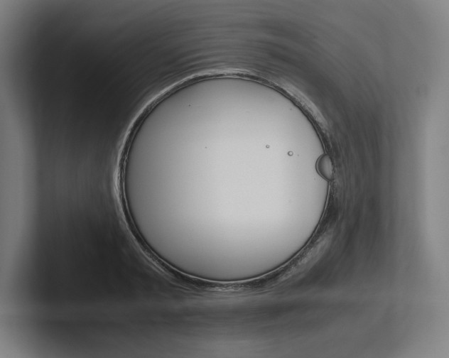 X0000102860797200808181024