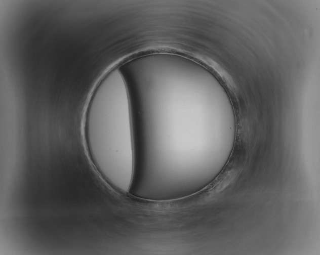 X0000102860799200808181024