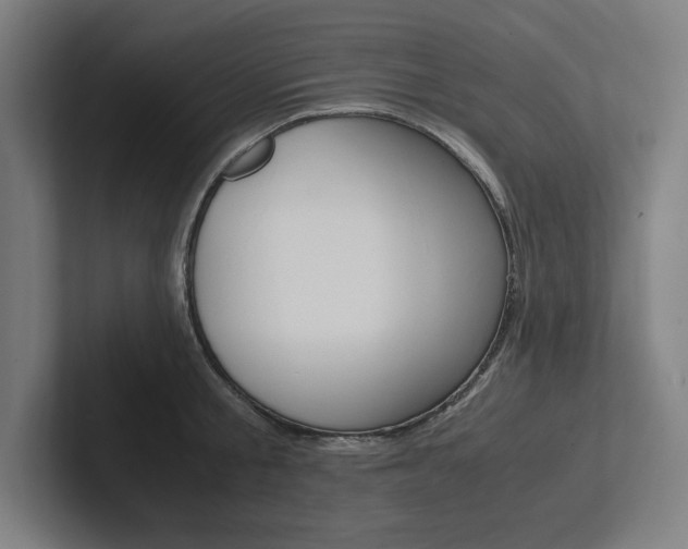 X0000102860805200808181024