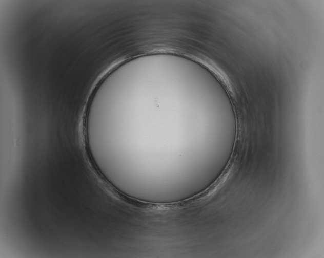 X0000102860806200808181024