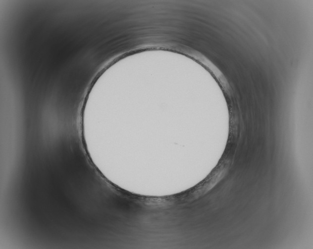 X0000102860807200808181024