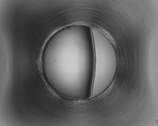 X0000102860808200808181024