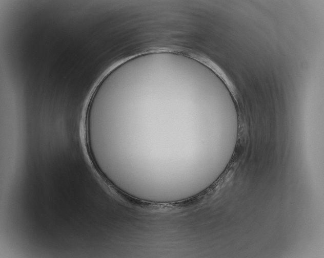 X0000102860811200808181024