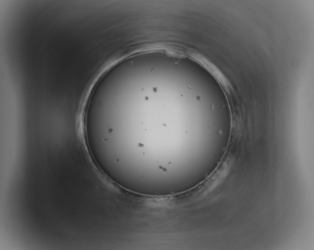 X0000102860813200808181024