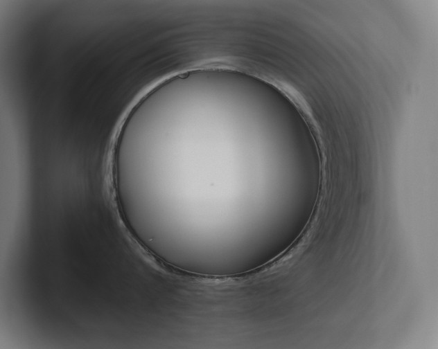 X0000102860816200808181024