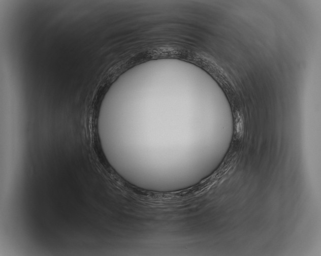 X0000102860819200808181023