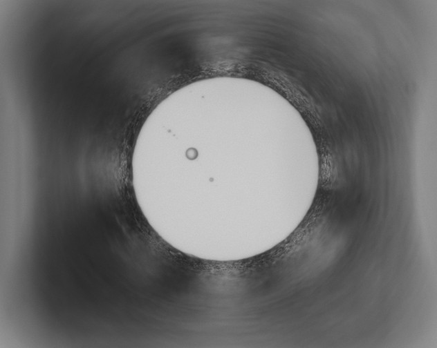 X0000102860820200808181023
