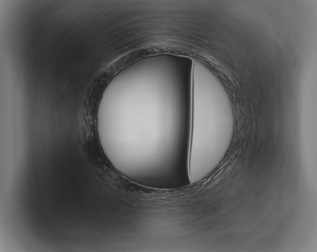 X0000102860822200808181023