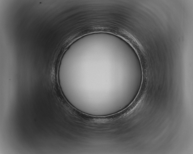 X0000102860825200808181023
