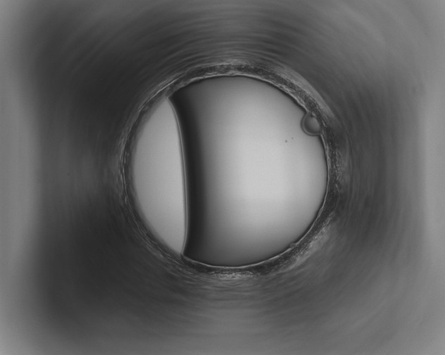 X0000102860826200808181023