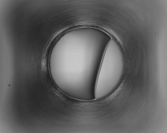 X0000102860830200808181024
