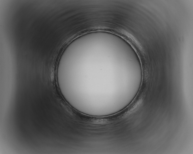 X0000102860833200808181024