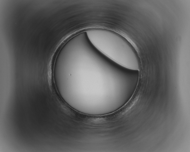 X0000102860837200808181024