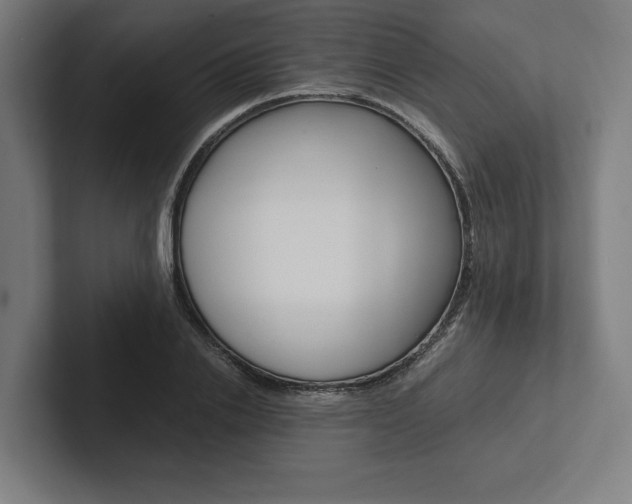 X0000102860838200808181024