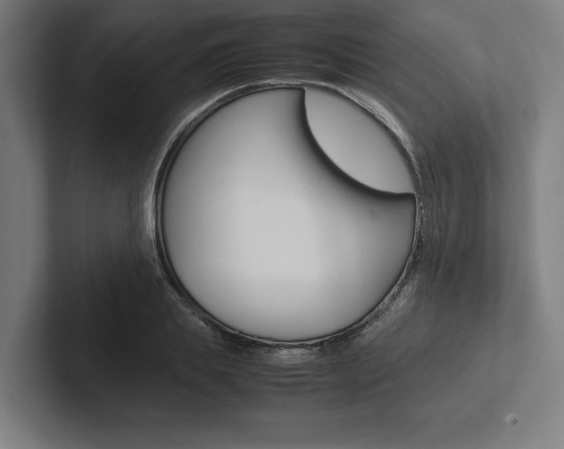 X0000102860839200808181024