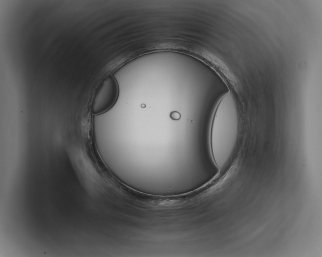 X0000102860841200808181024