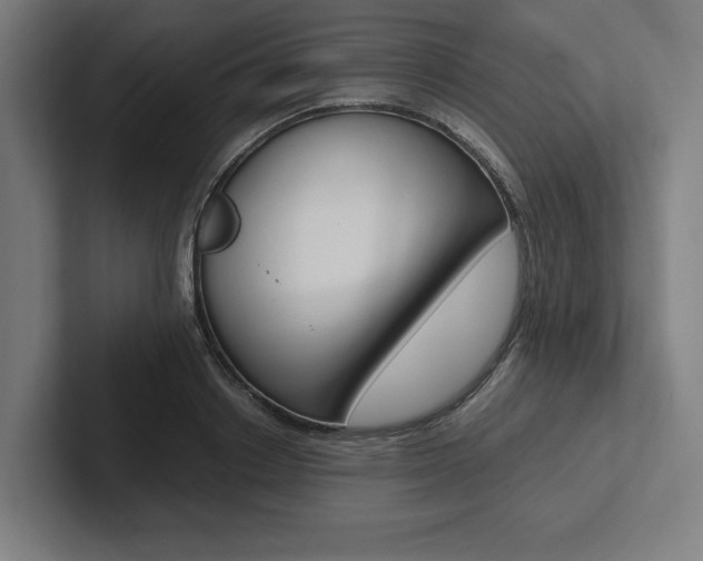 X0000102860842200808181024