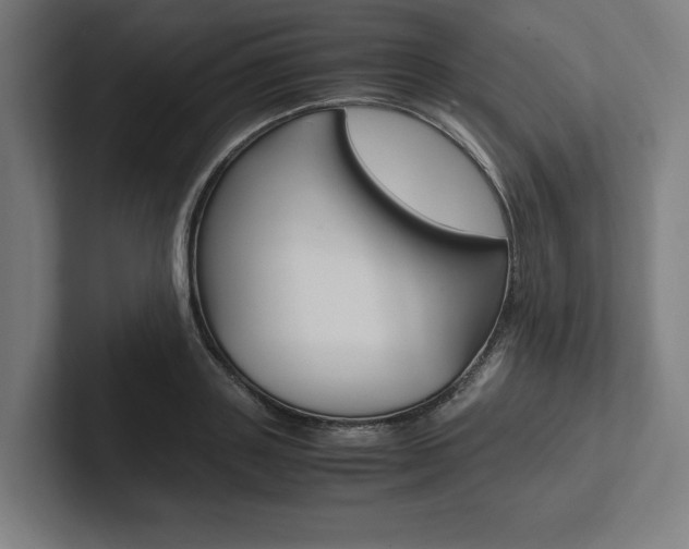 X0000102860843200808181024