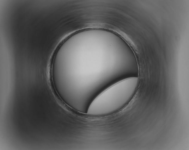 X0000102860846200808181024