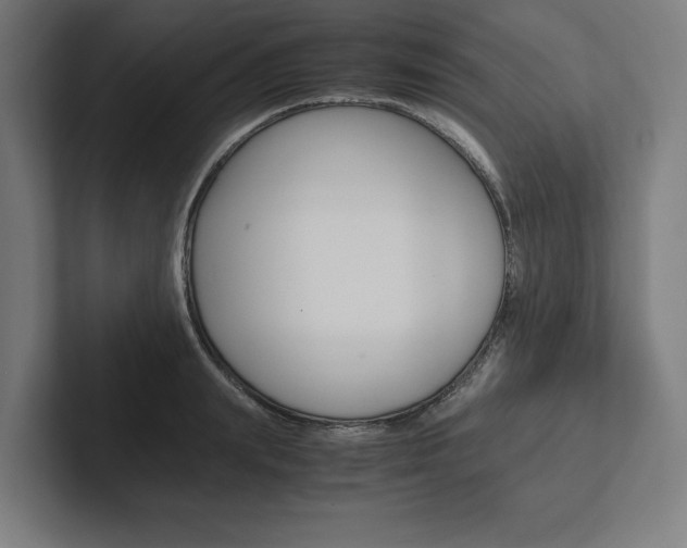 X0000102860847200808181024