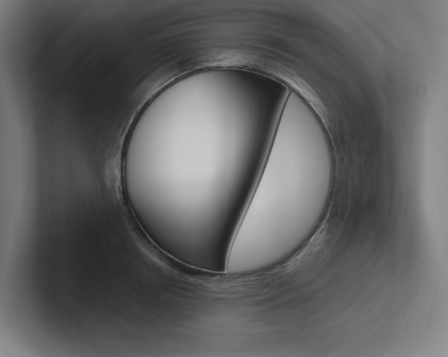 X0000102860850200808181024