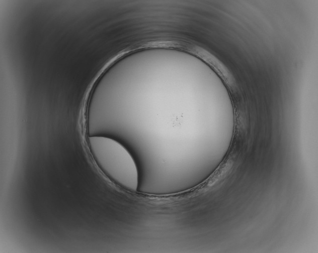 X0000102860852200808181024